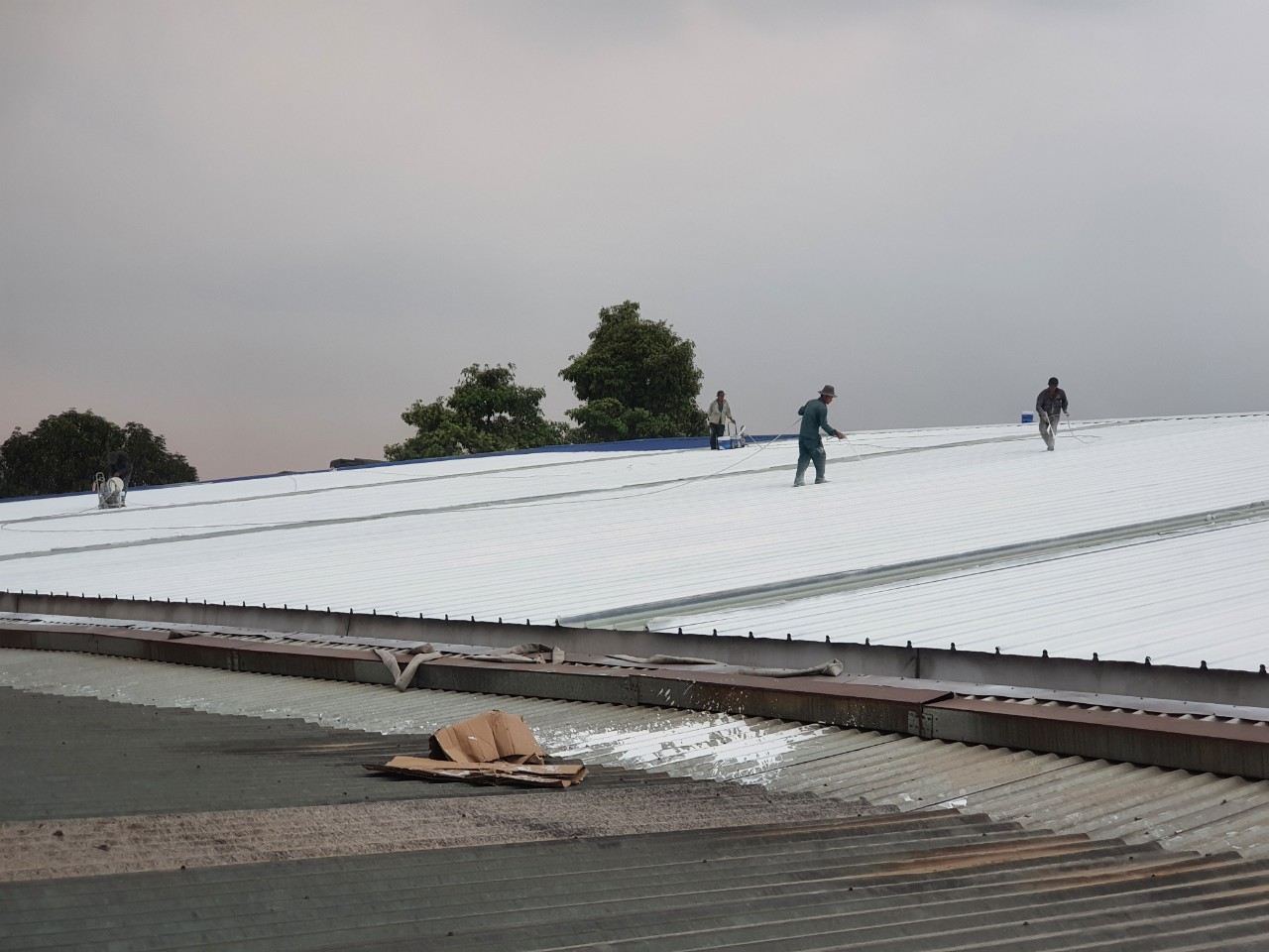 thợ sơn chống nóng mái tôn tại quận 3